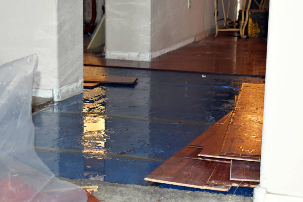 Professional Water Damage Restoration technician working in Kimball, MN